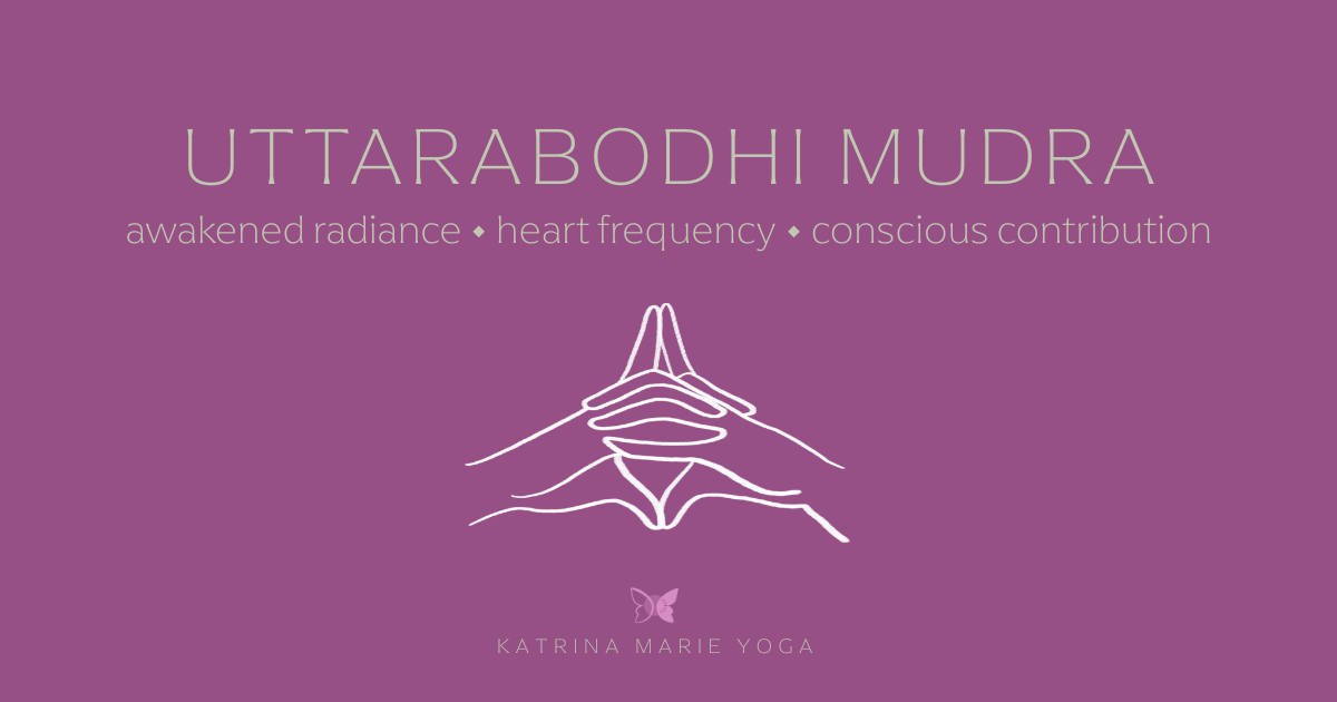Uttarabodhi Mudra illustrated in white line art on a muted purple background, with text reading “awakened radiance • heart frequency • conscious contribution” and Katrina Marie Yoga branding below.