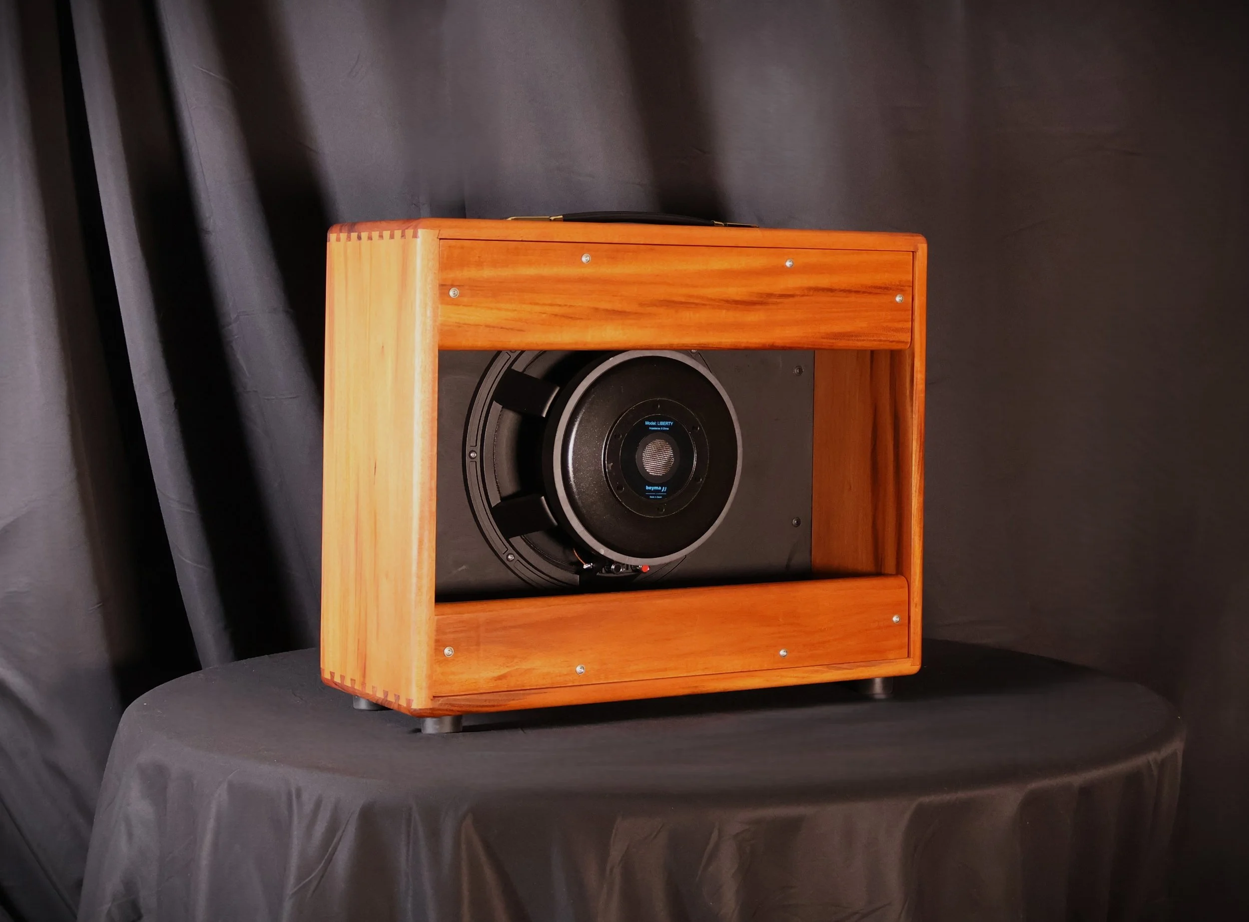 canary speaker back.JPG
