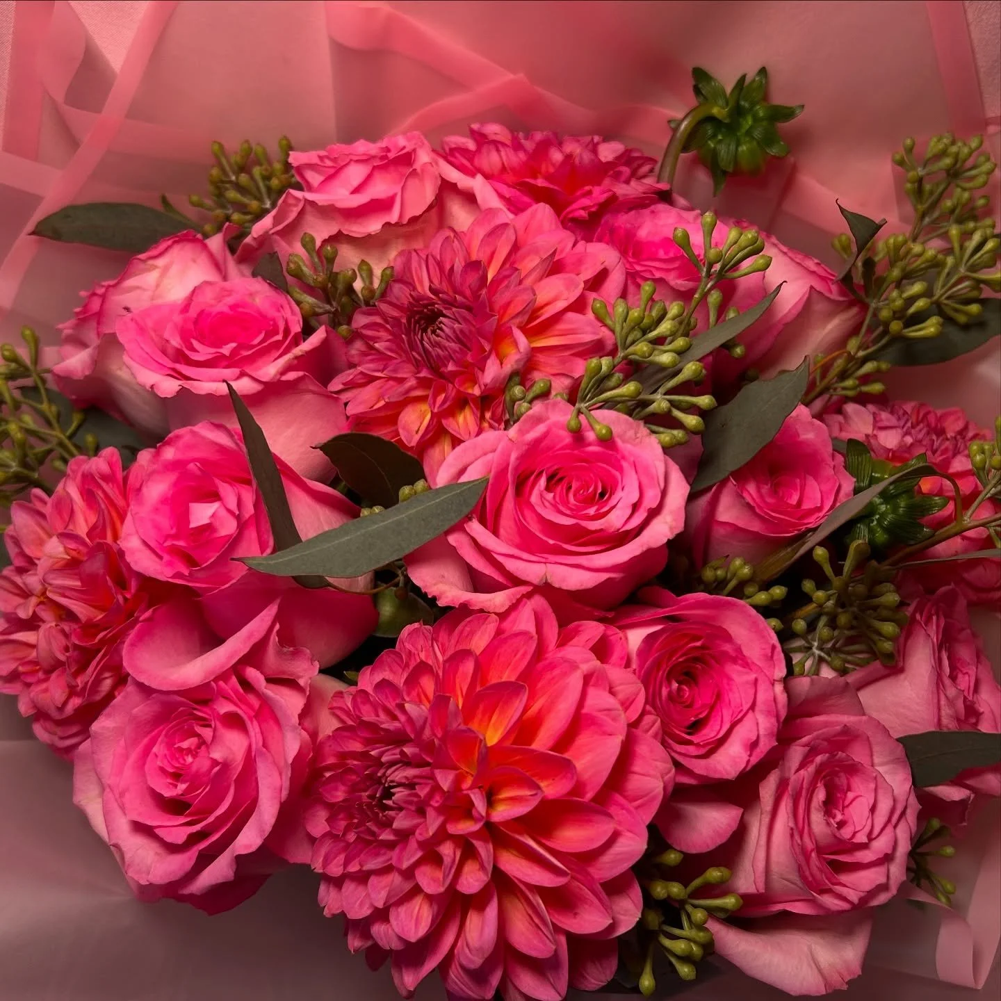 small/mecium size bouquet with pink roses, pink dahlias + seeded eucalyptus 🎀 

order dahlias now while they are still in season!