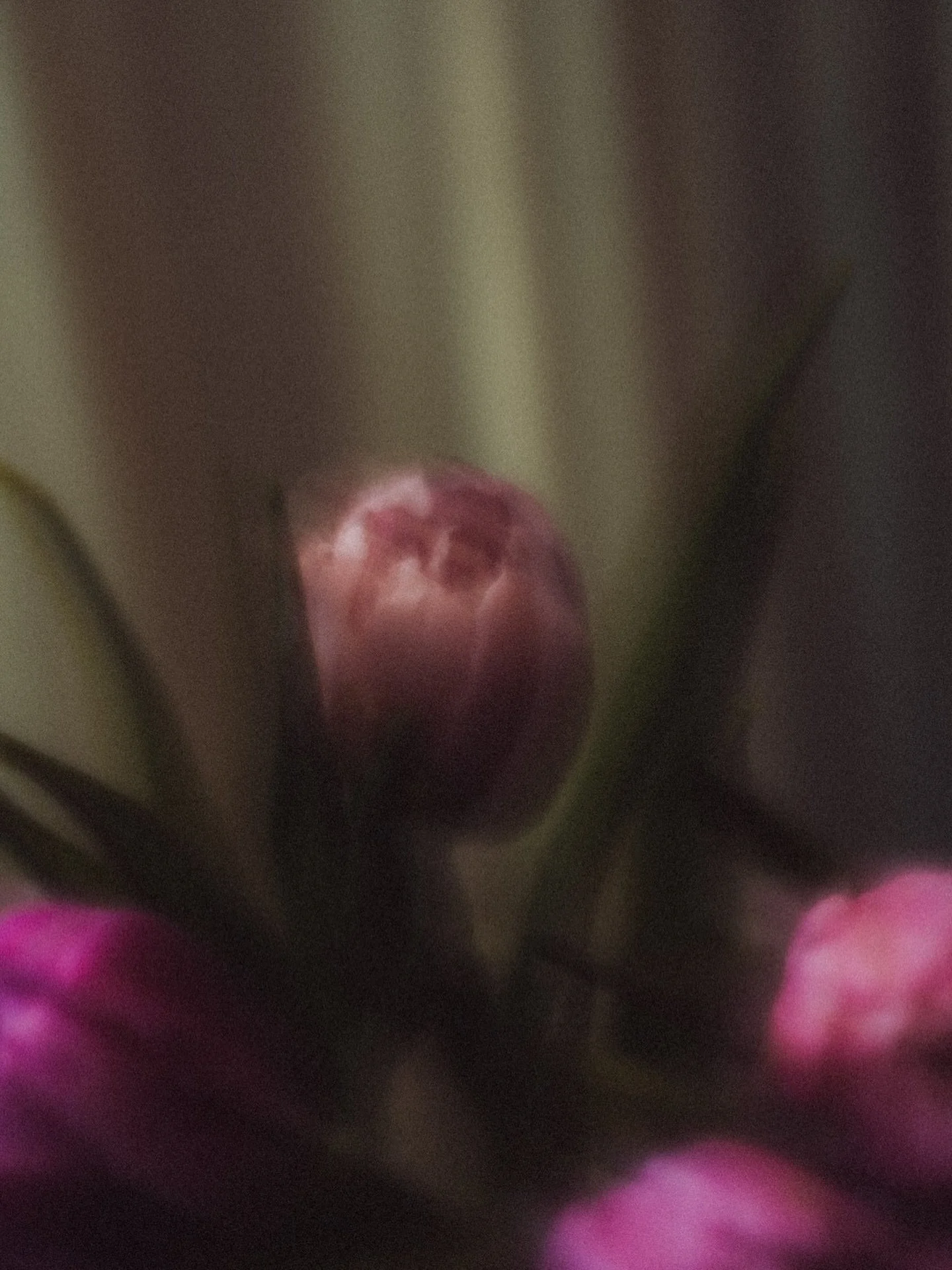 we&rsquo;re out and about this week 💐✨
catch us TOMORROW at @commonwealthplazamidwood , 5&ndash;8p on the turf. music playing, flowers flowing, you already know the vibe
then saturday we&rsquo;re at the first @frontporchclt of the season 🤍 11&ndash