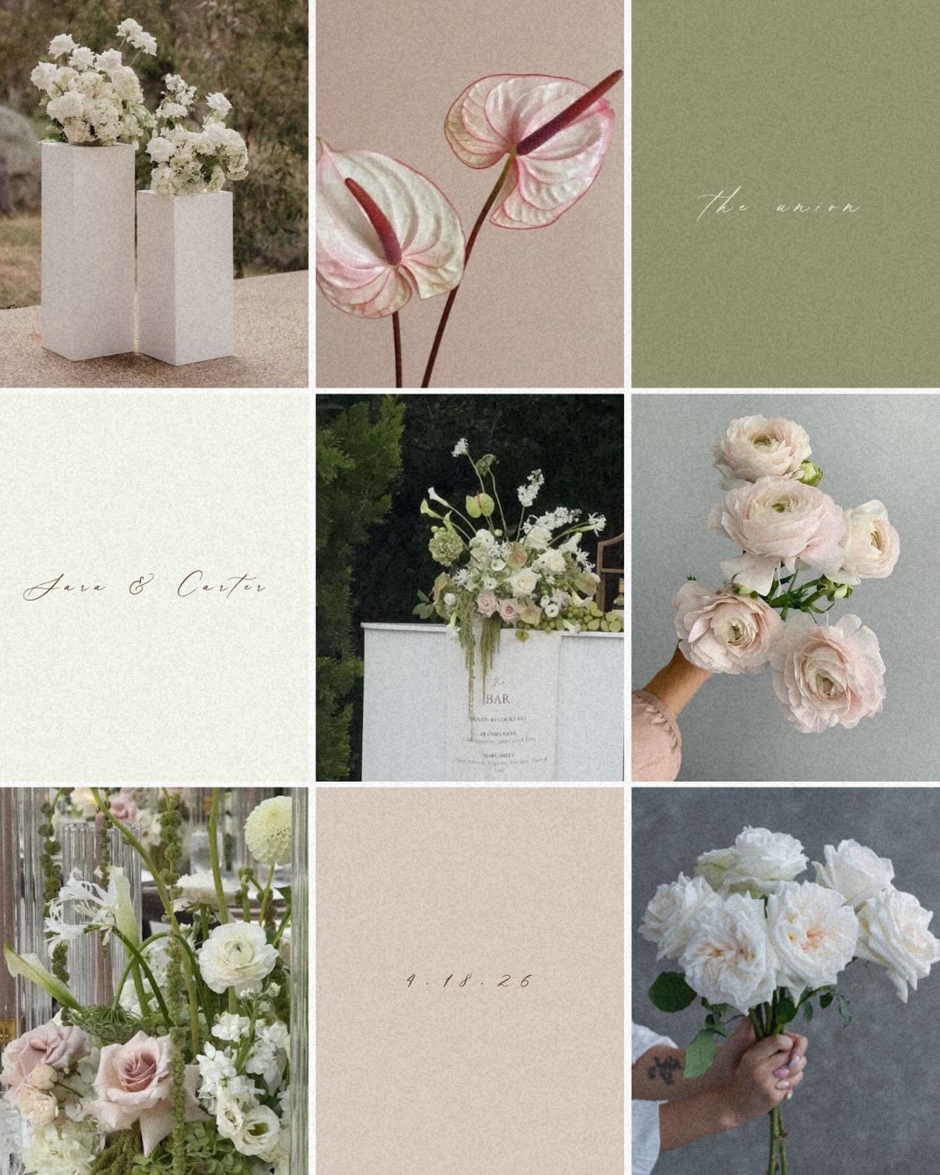 sara &amp; carter
4.18.26
the union
we can&rsquo;t wait to celebrate you both🕊️