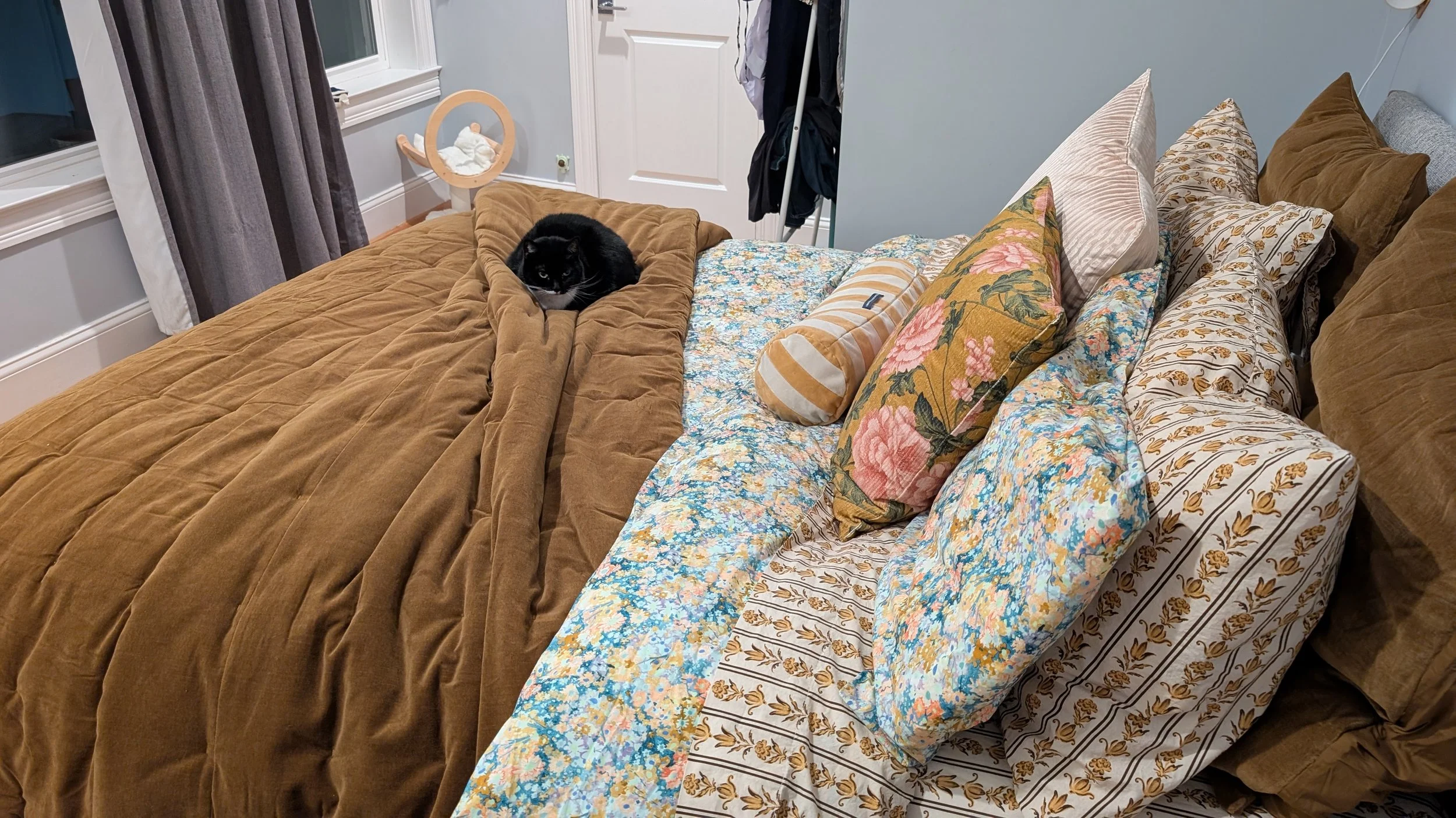 New bedding. Tina approved!