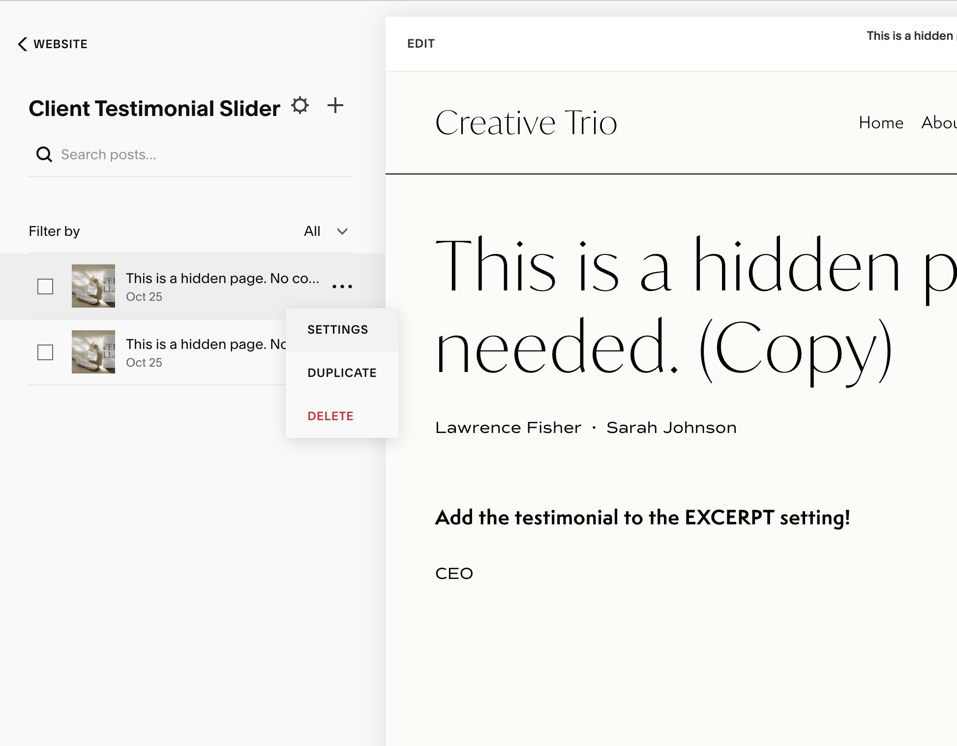 Add the testimonial text to the EXCERPT settings!