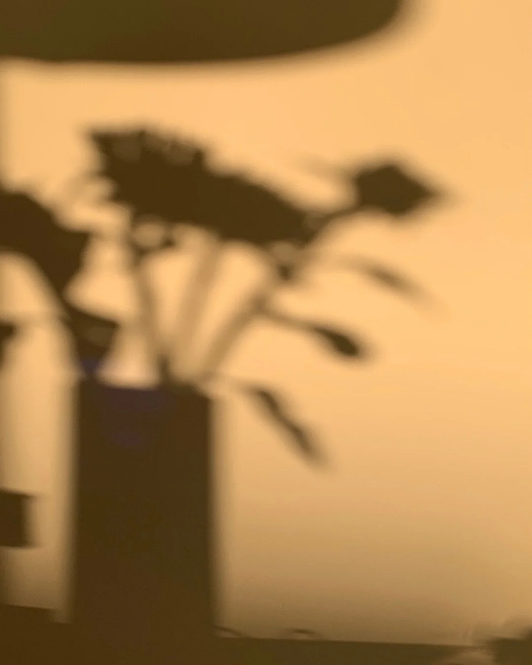 💭 Natural is the best light: It shifts, it softens, it defines.

#shadows #light #interior #design