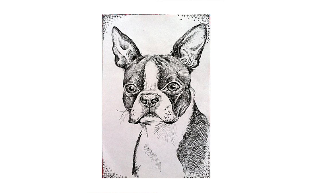Portrait_1.jpg