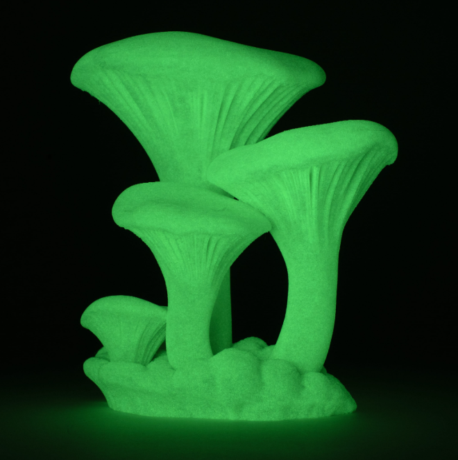 Screenshot 2026-02-20 100159.png