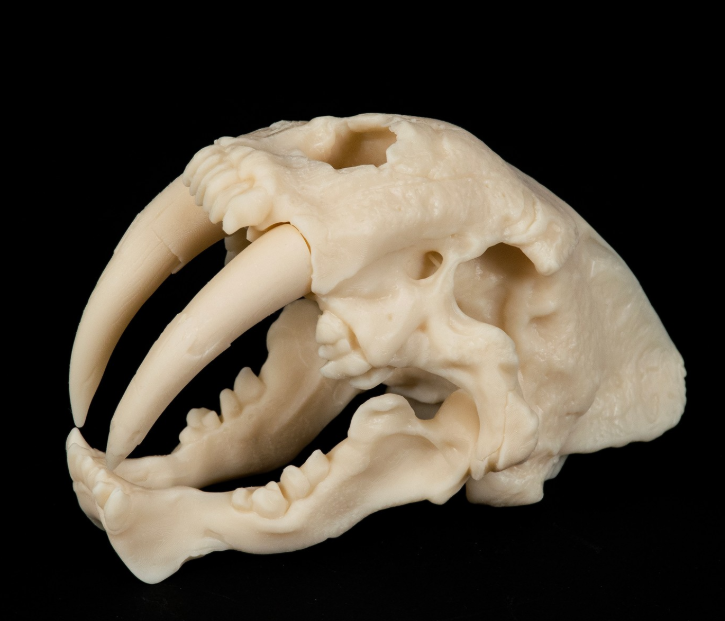 Screenshot 2025-12-23 142316.png