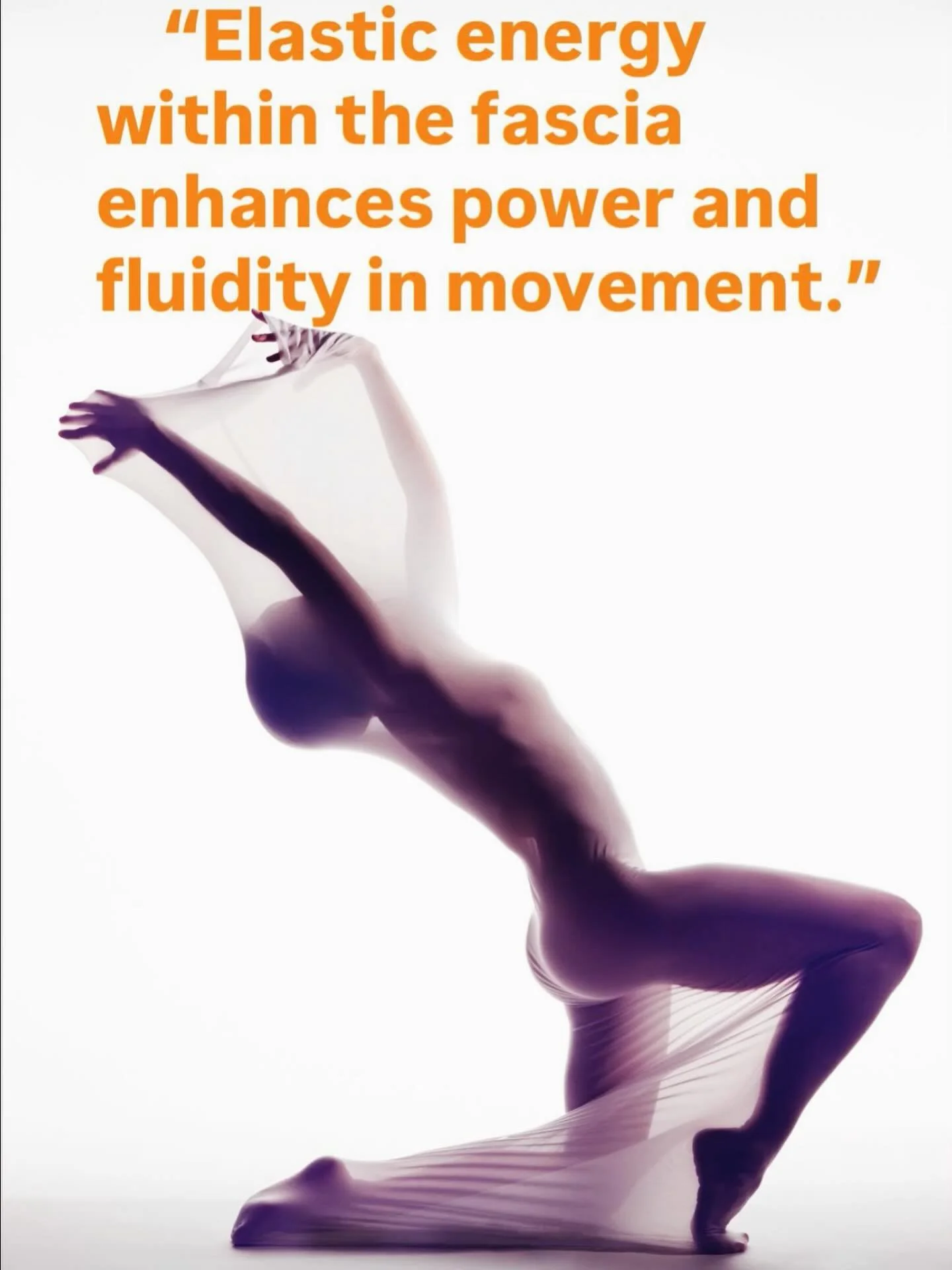 ✨ Did you know your fascia isn&rsquo;t just connective tissue &ndash; it&rsquo;s a dynamic web that stores and releases elastic energy?
This is what helps us move with power, efficiency, and flow. 🌀
When fascia is healthy and hydrated, it supports s