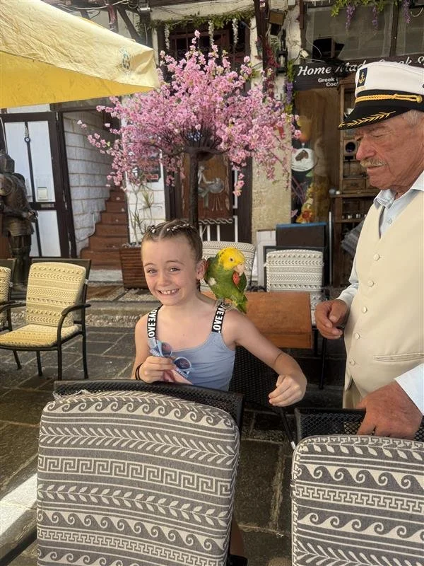 Image - 2026-02-24T161755.487.jpeg