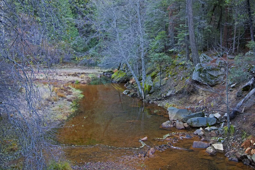 creek_mirror_lake2.jpg
