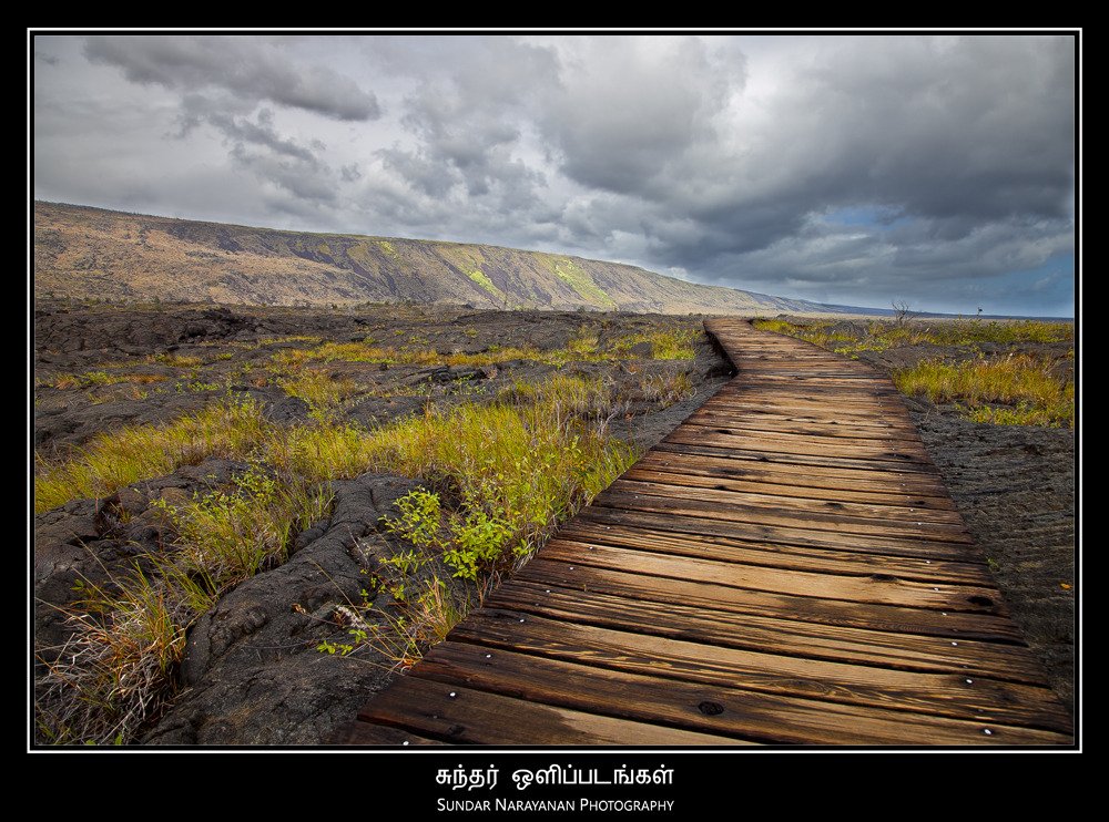 petroglyph_trail_original.jpg