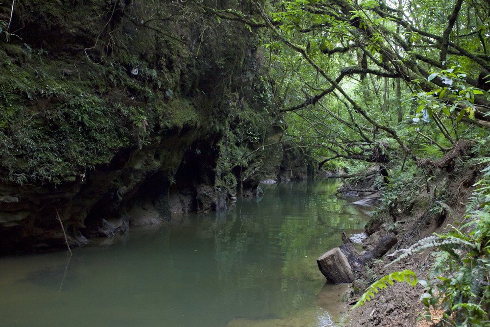 outsidewaitomocaves.jpg