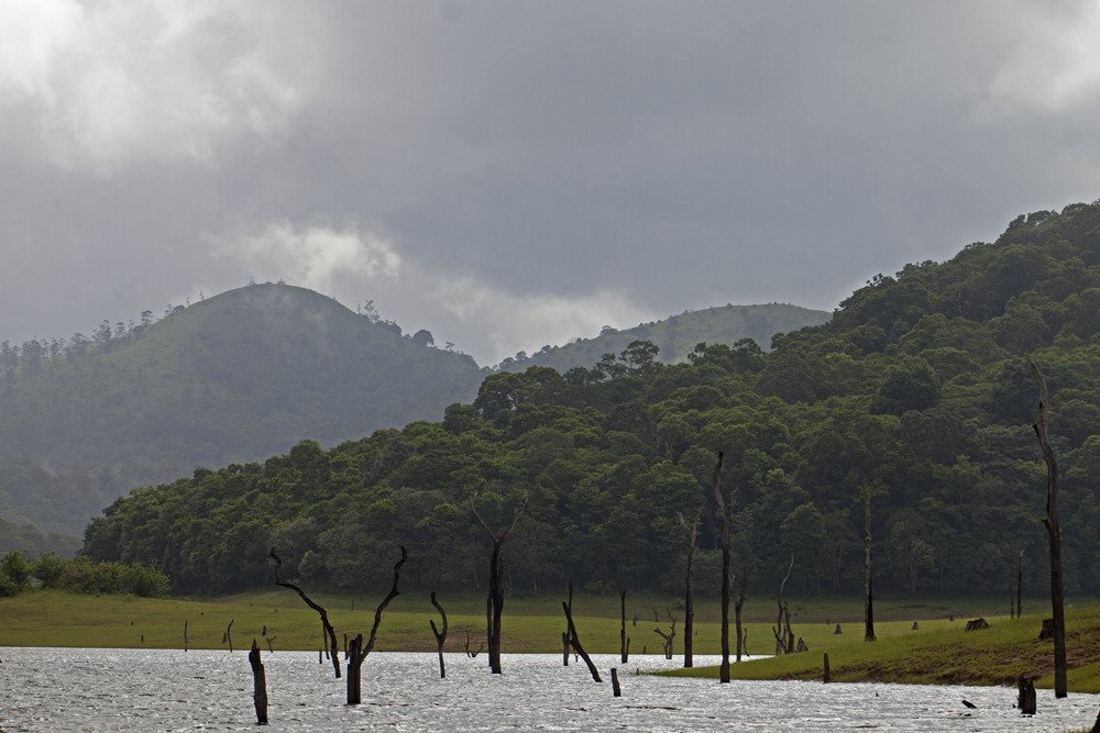 thekkadi_lake1.jpg