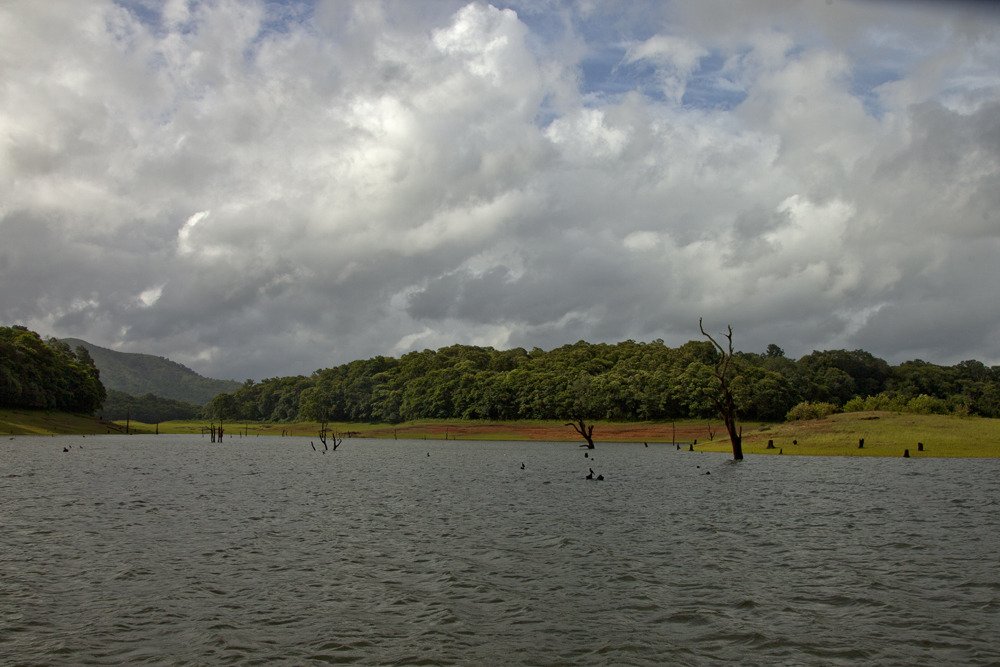 thekkadi_lake3.jpg