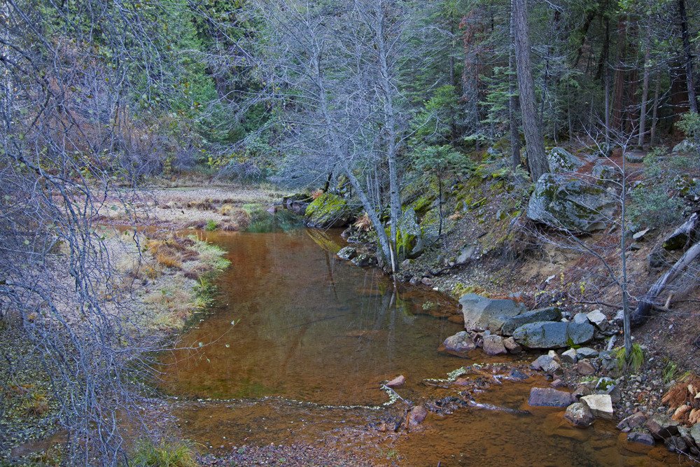creek_mirror_lake2.jpg