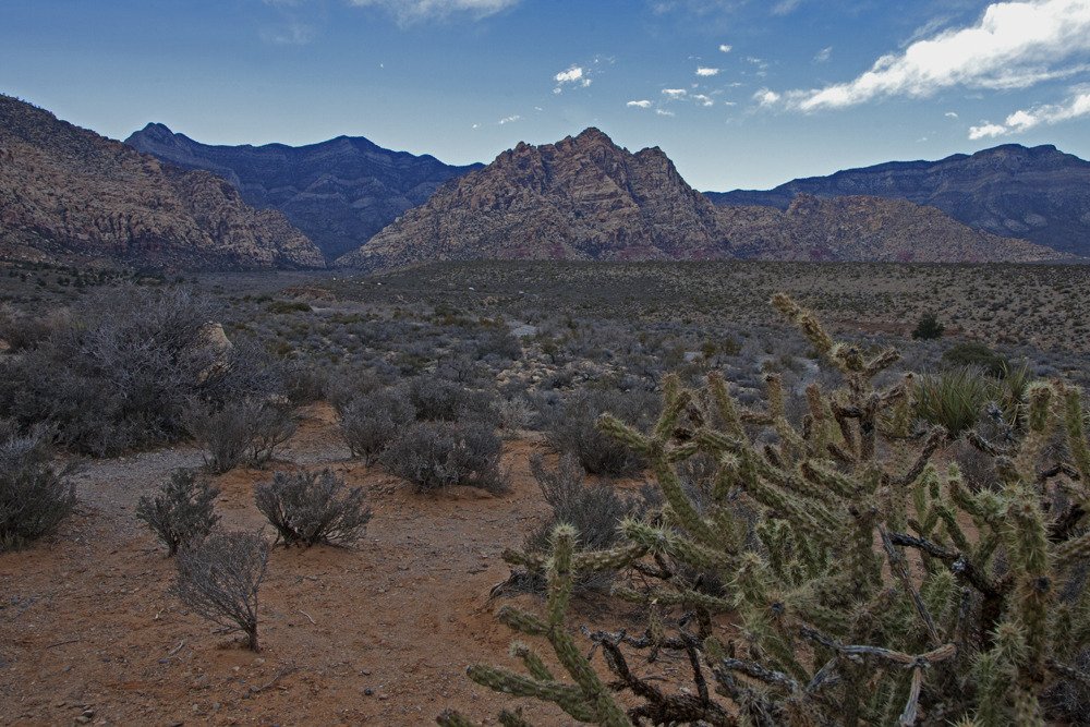 red_rock_vista3.jpg