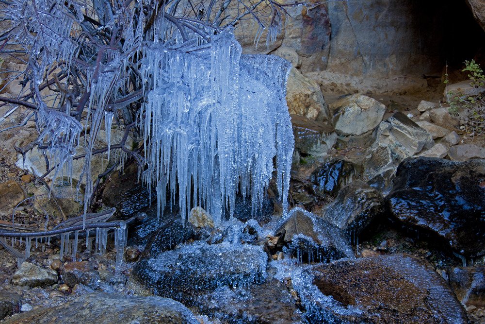 lost_creek_trail_icicles_on_tree.jpg