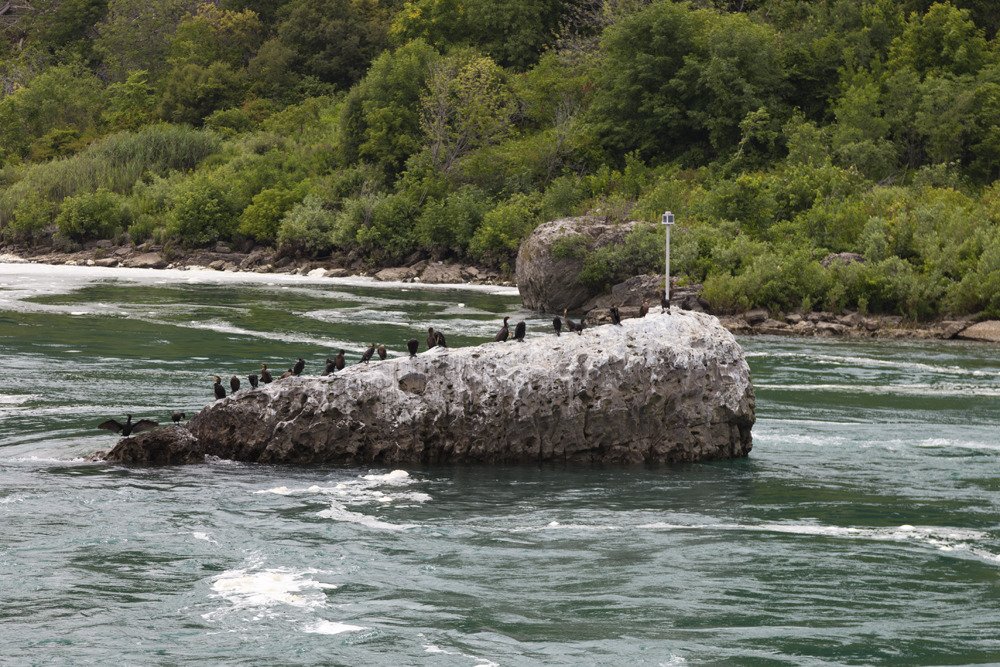 niagara_2016_9.jpg