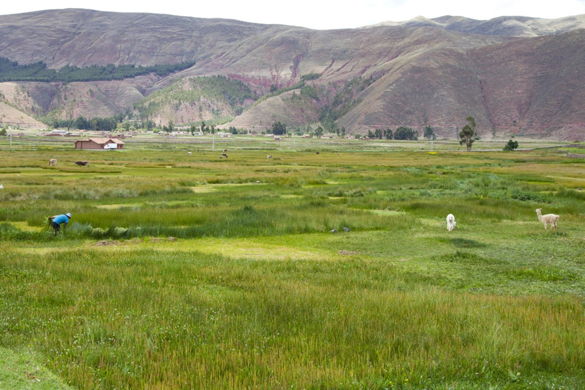 peru_day5_rayapass1.jpg
