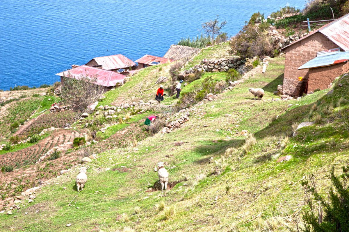peru_day6_tequile7.jpg