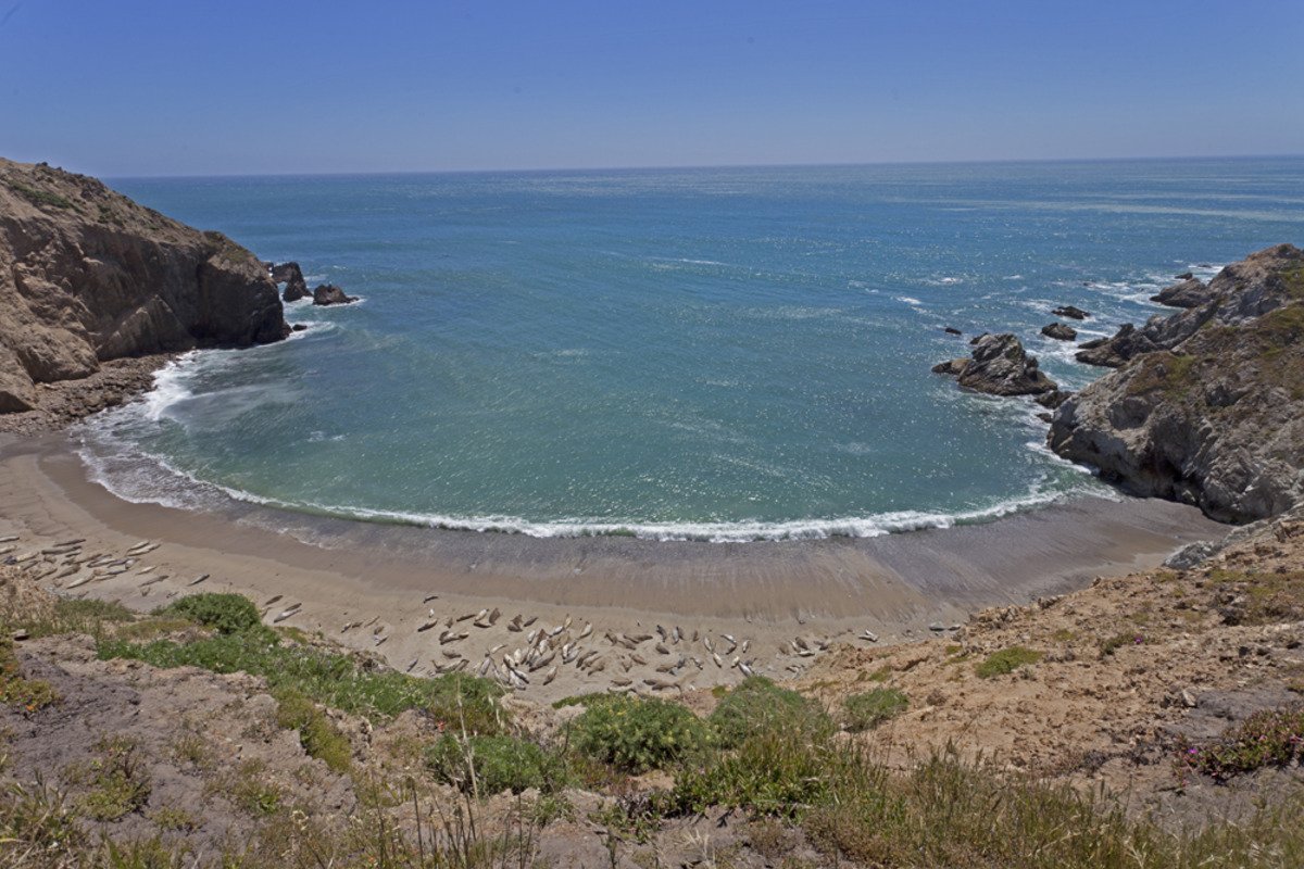 point_reyes_bay_wide1.jpg