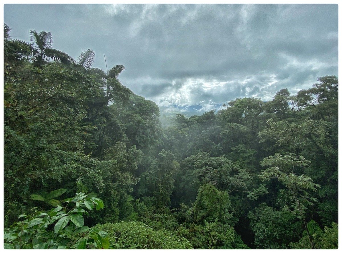 cr_arenal_bridge_view1.jpg