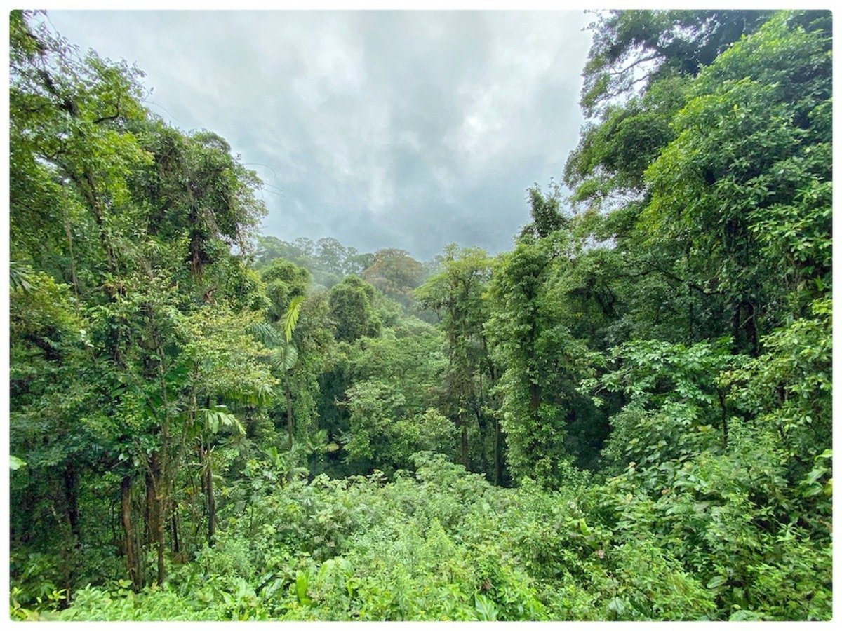 cr_arenal_bridge_view2.jpg