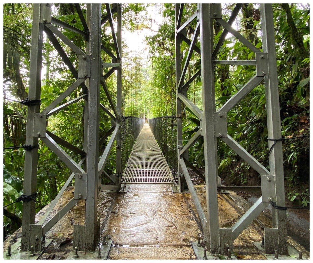 cr_arenal_suspension_bridge2.jpg