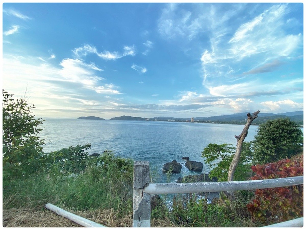 cr_view_jaco2.jpg