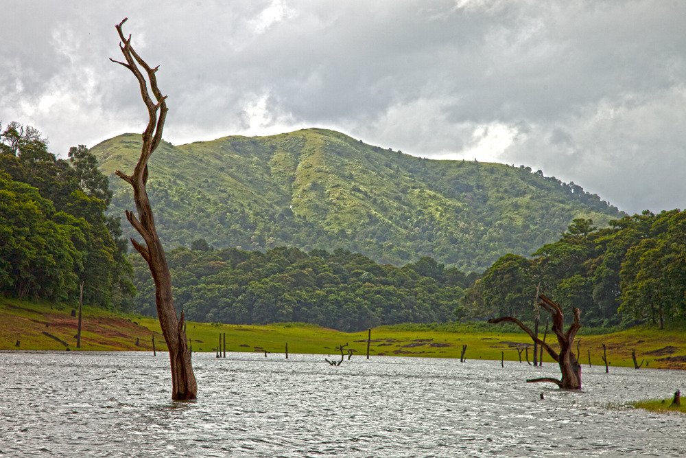 thekkadi_lake_hdr.jpg