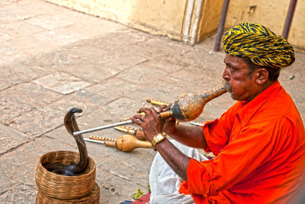 snake_charmer_hdr.jpg