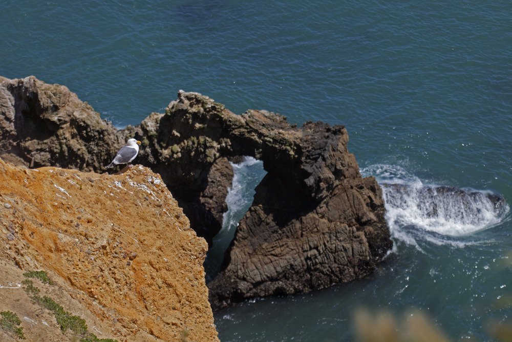 point_reyes_lookout_hdr4.jpg