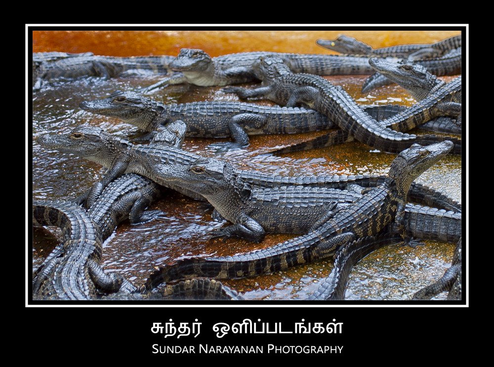crowded.jpg