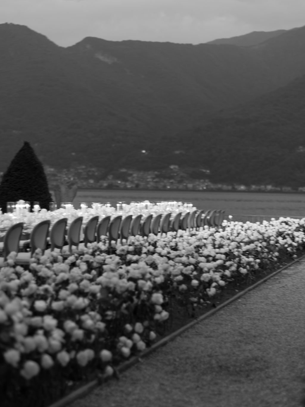 DSCF5548.jpg