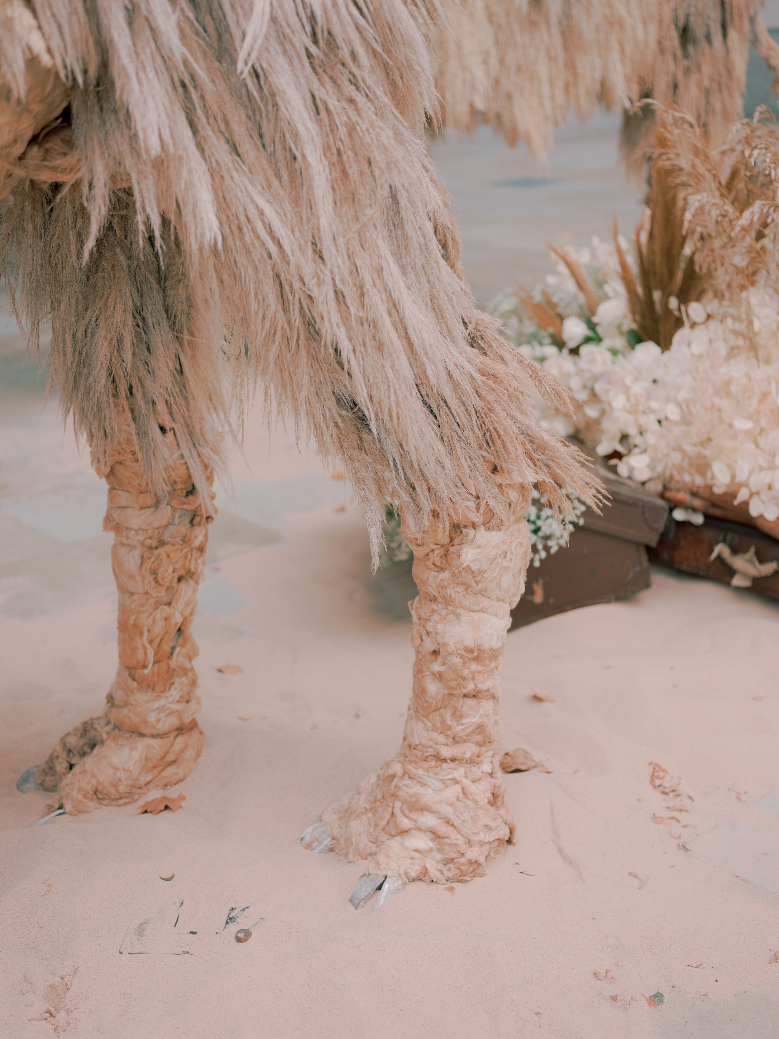 JoannaBriggsPhotographyAllForLoveChelseainBloom-294.jpg
