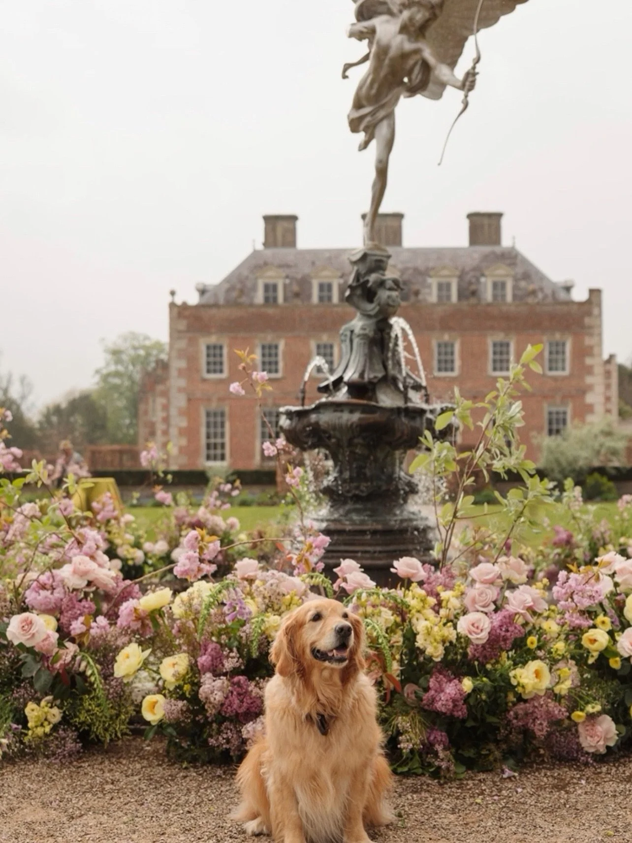 This first image has lived on my phone screensaver since the moment it arrived. A fountain wrapped in flowers for the drinks reception &mdash; and Maple stealing the show in front of it (as always) ✨🐾
.
.
.
@nataliehewittweddings @jesswitheyphoto @e