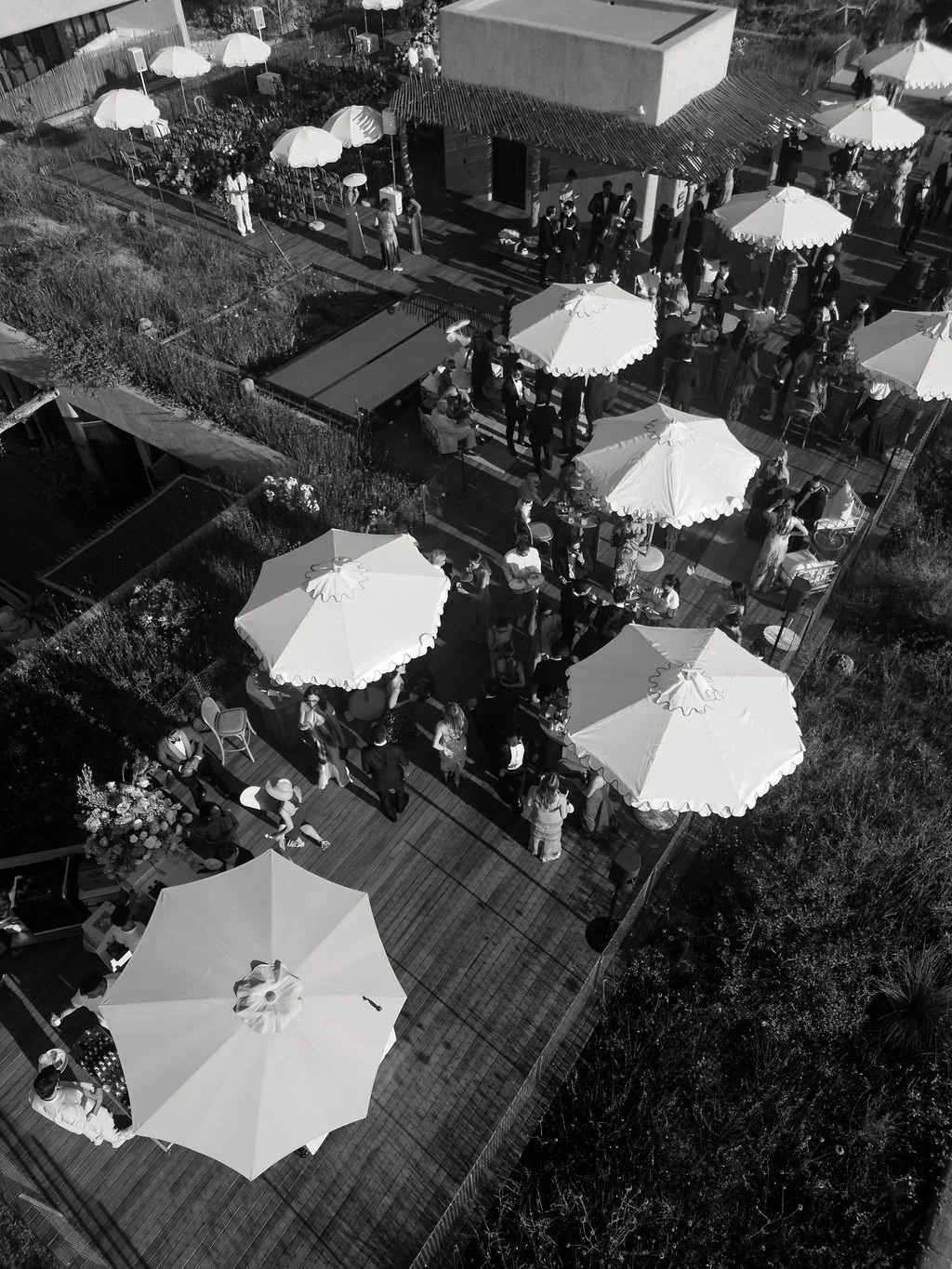 DJI_0708.jpg