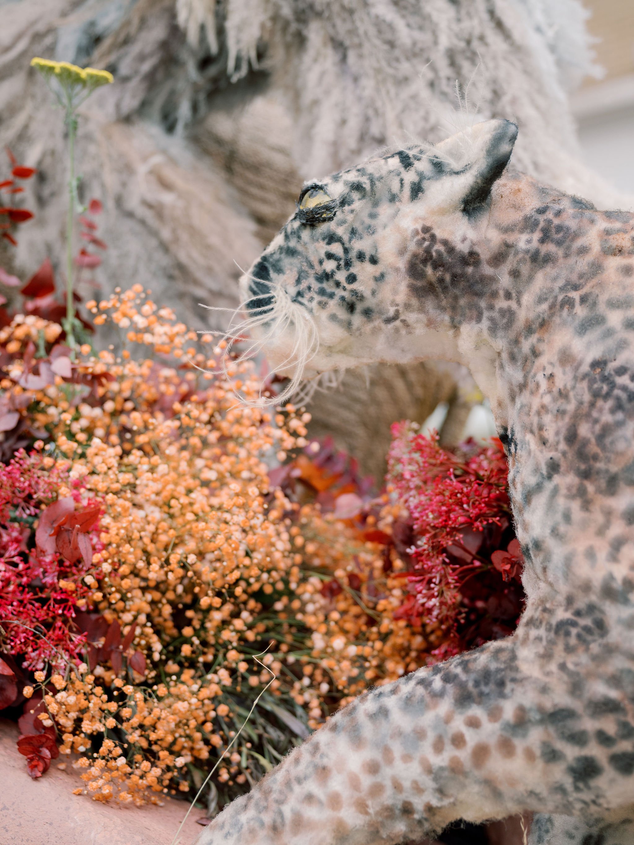 JoannaBriggsPhotography-AllForLoveChelsea23-210.jpg