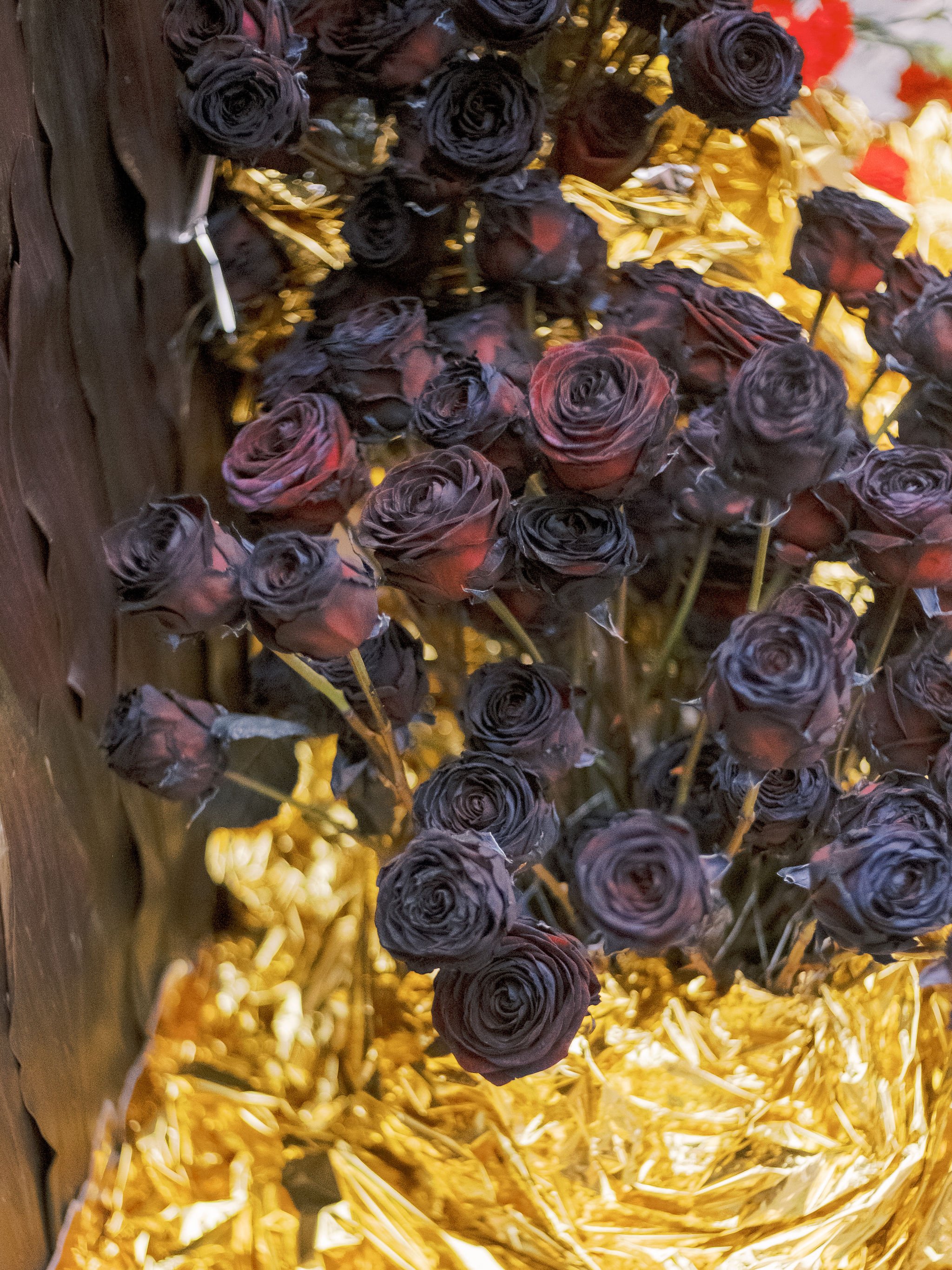 JoannaBriggsPhotography-AllForLoveCIB25-300.jpg