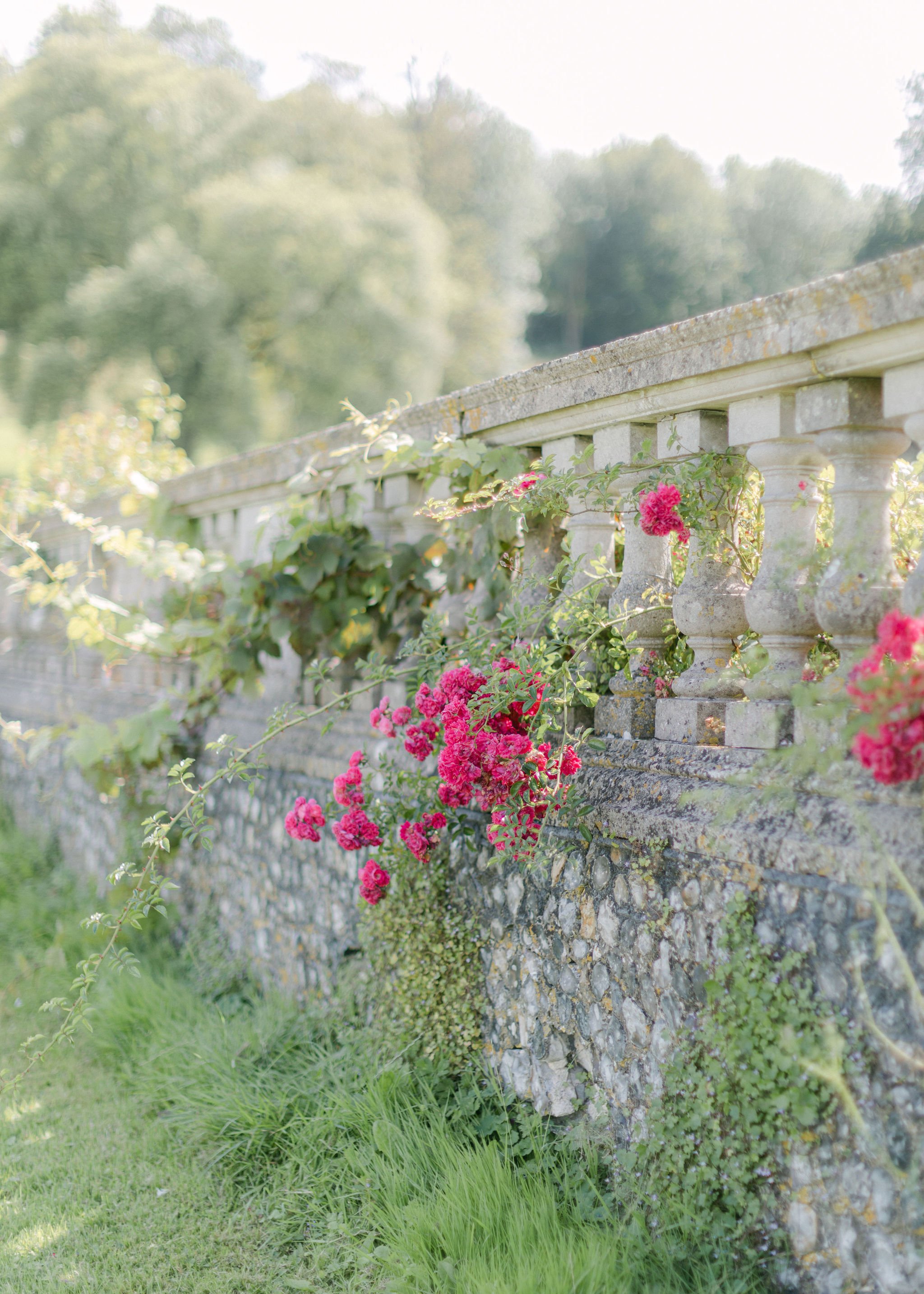Lucy_Michael_Firle_Place_HollyClarkPhotography_H-436.jpg
