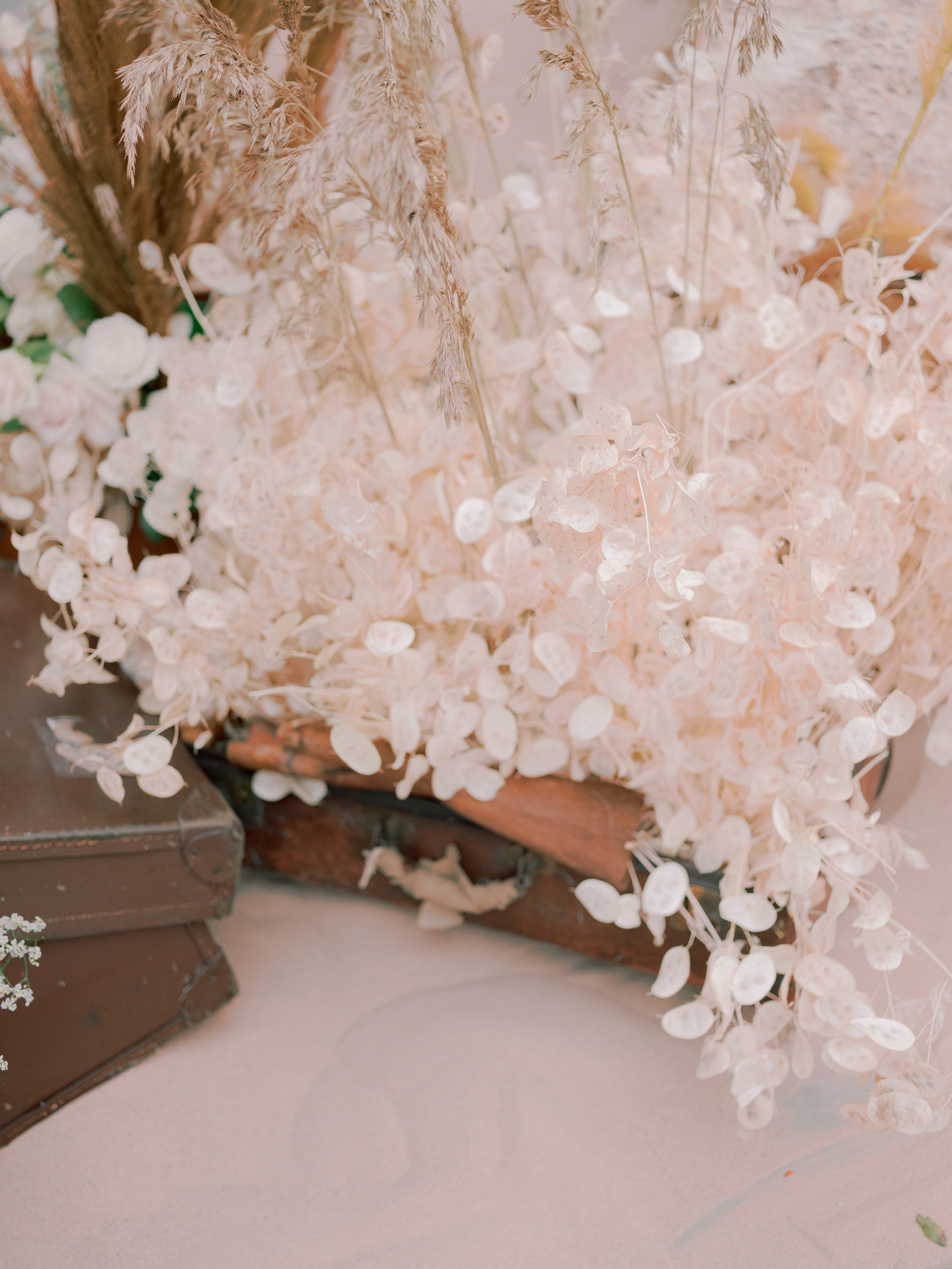 JoannaBriggsPhotographyAllForLoveChelseainBloom-284.jpg