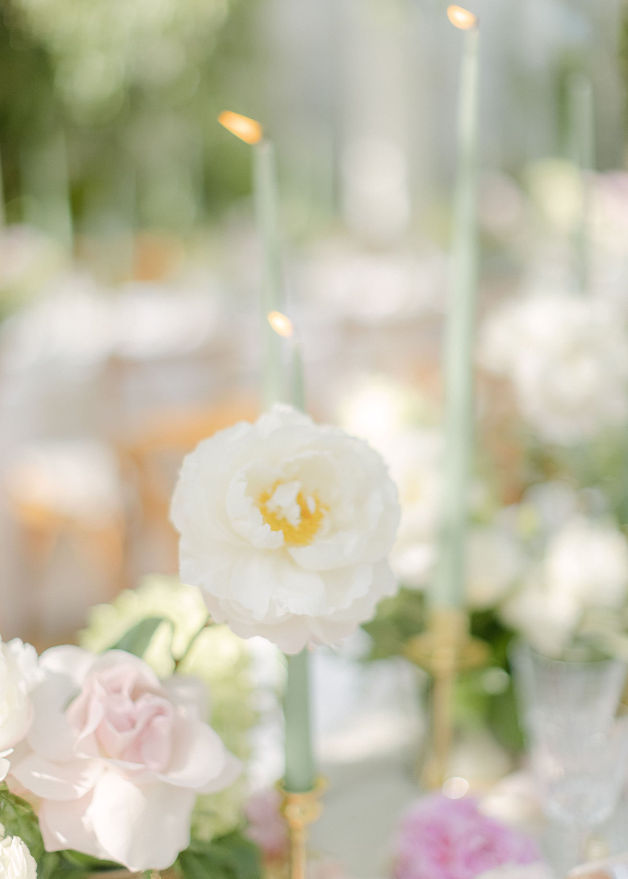 Lucy_Michael_Firle_Place_HollyClarkPhotography_H-543.jpg