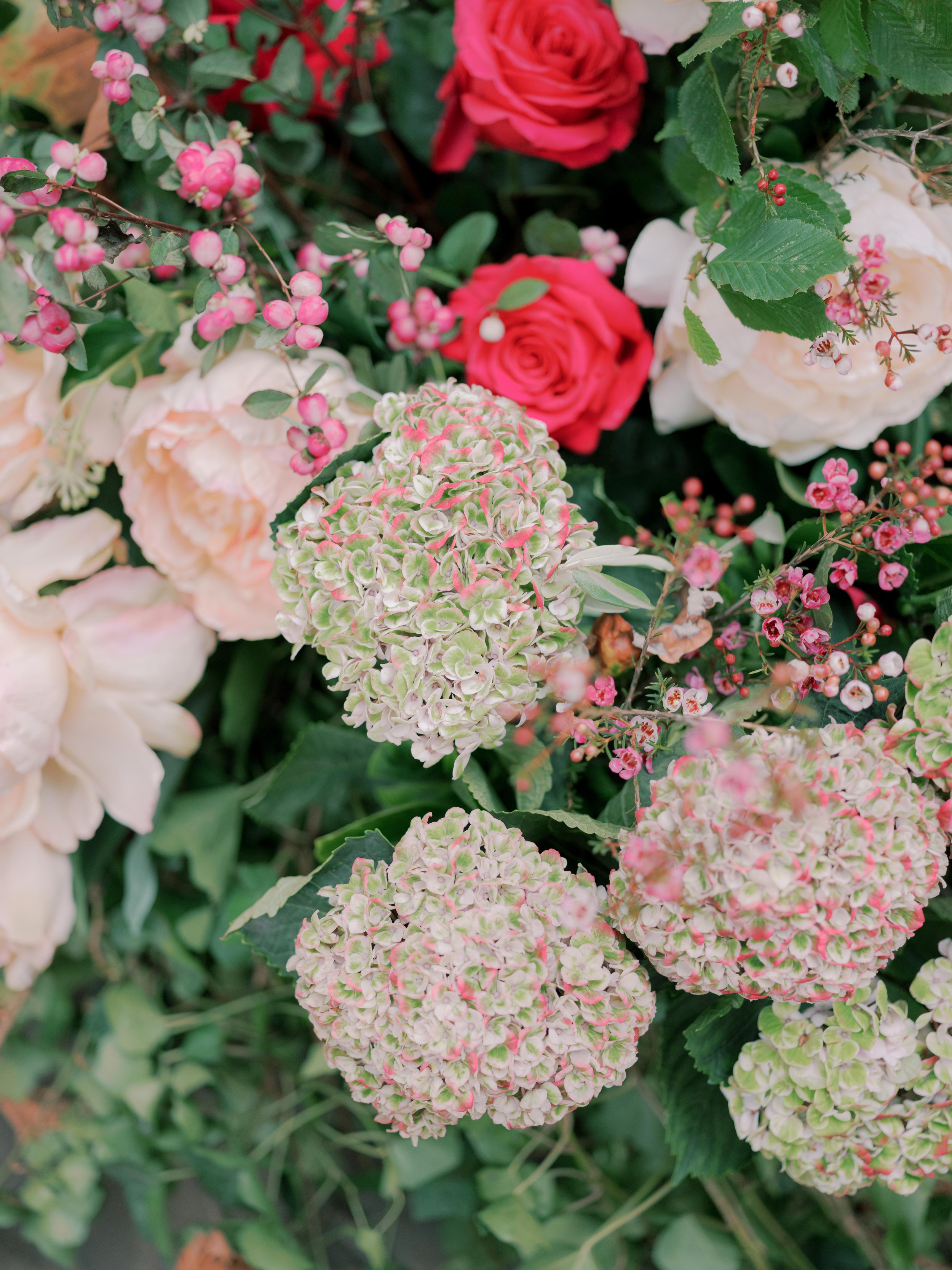 JoannaBriggsPhotographyAllForLoveChelseainBloom-135.jpg