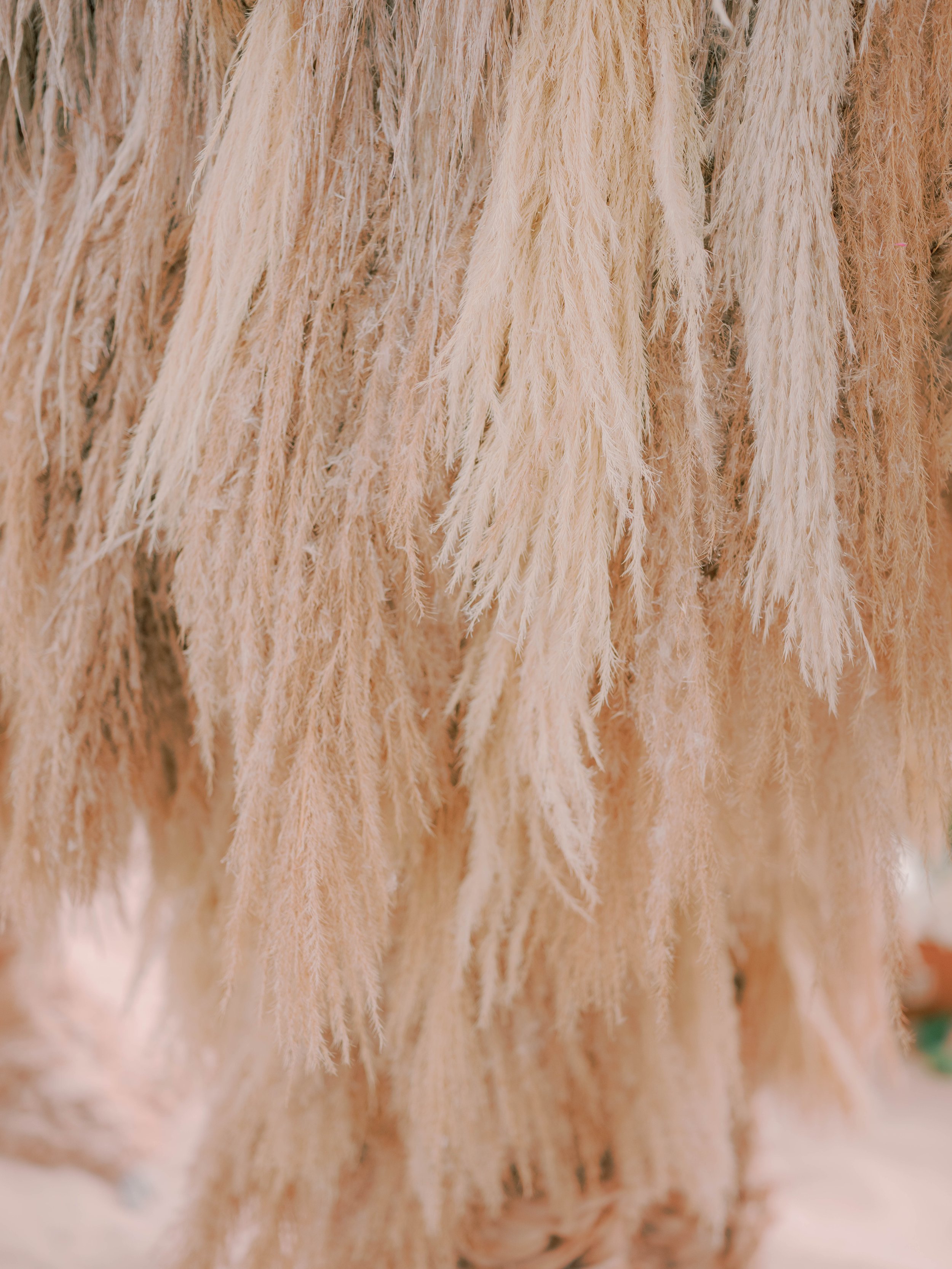 JoannaBriggsPhotographyAllForLoveChelseainBloom-304.jpg