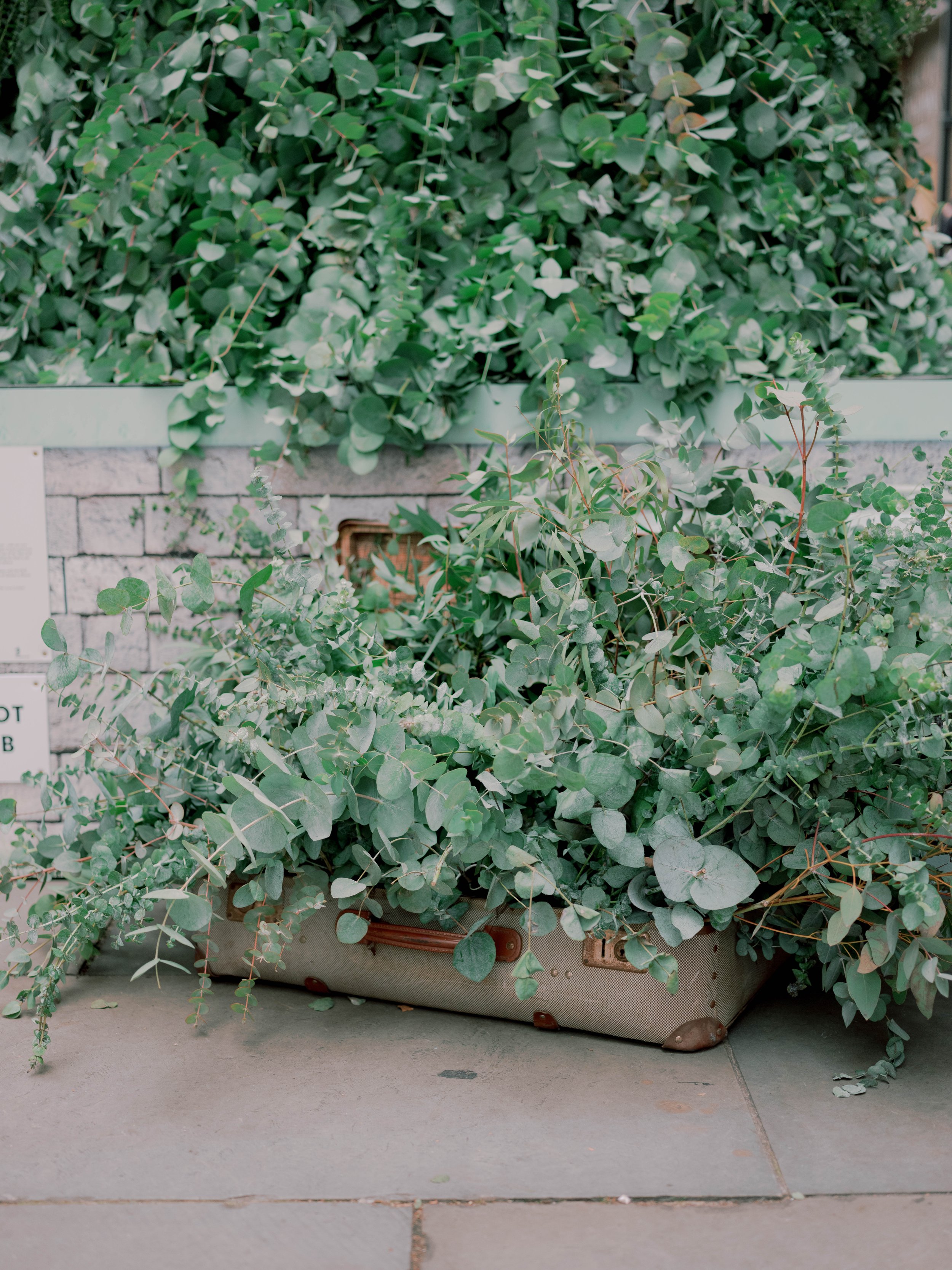 JoannaBriggsPhotographyAllForLoveChelseainBloom-205.jpg