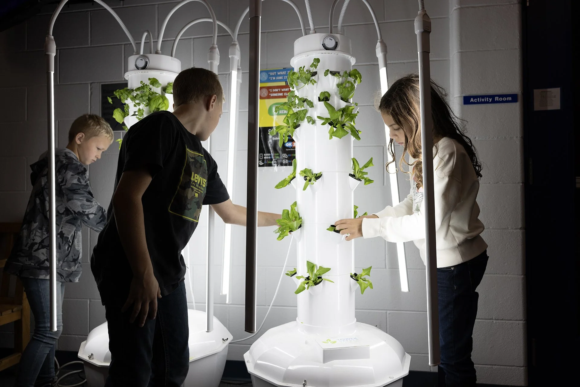 Three upper elementary students examining the plant growth on a lighted indoor garden.