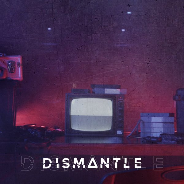 Dismantle - Social Media 4.jpeg