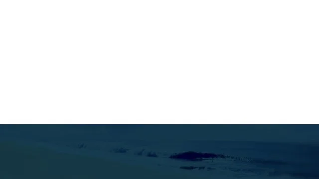 Psalms - Lower 3rd.jpeg