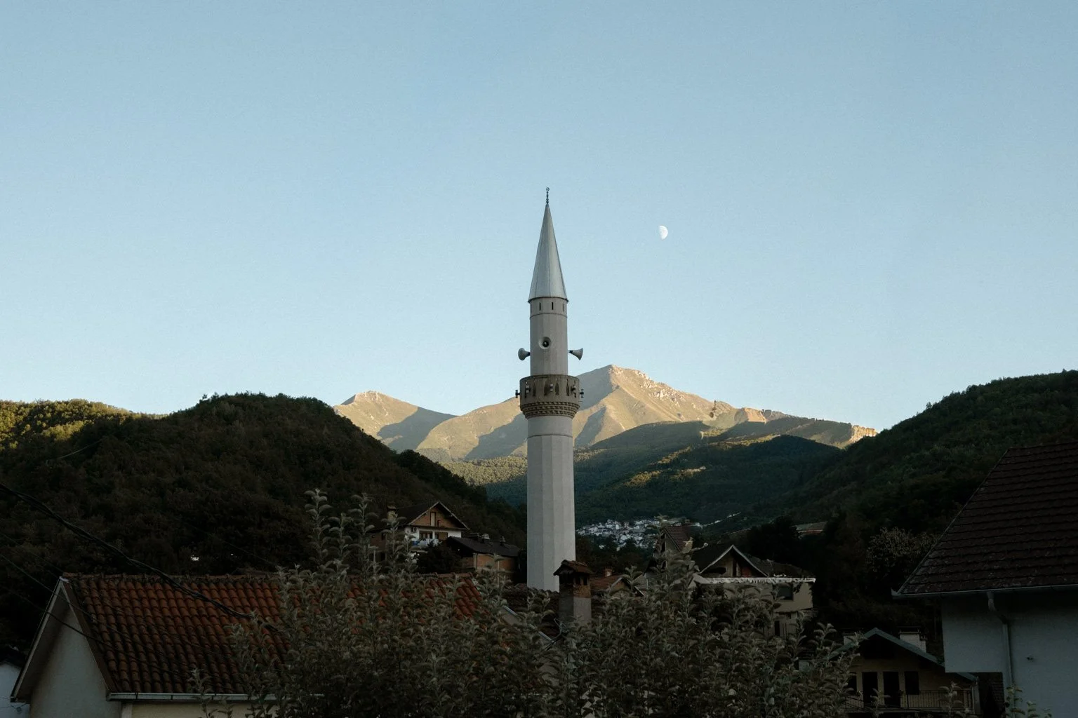 DSCF2548.jpg