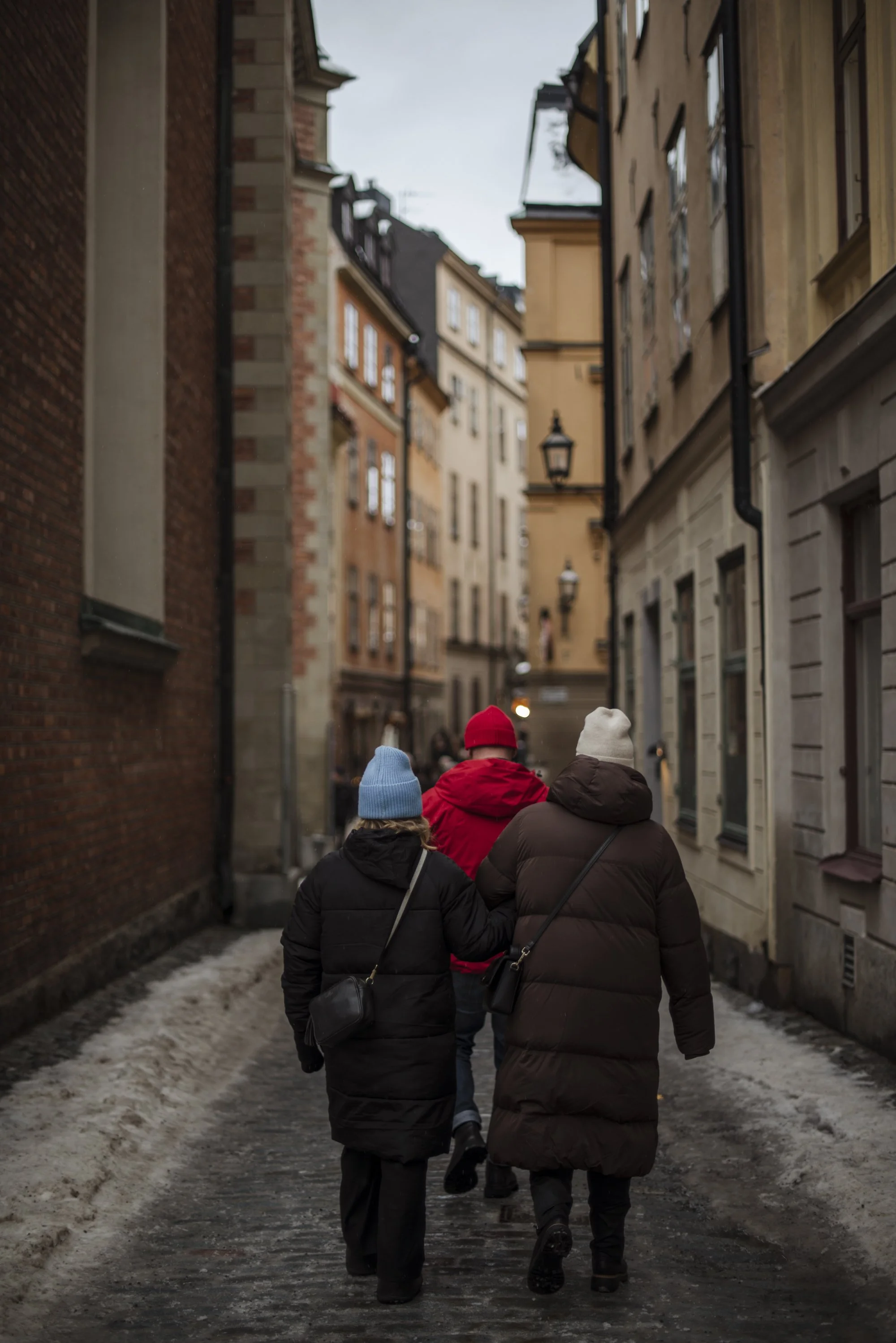 D8E_1703.jpg